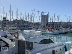 Quanti alberi... - Foto Rossano Morici