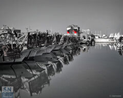 Riflessi d'acqua - Foto Claudio Cremonesi