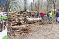 Prova pratica progetto "Prendiamoci cura del Misa"