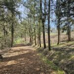 Parco di Selva di Boccalupo