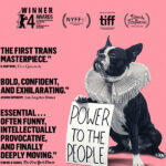 Orlando - My political biography