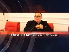 senigallia notizie telegiornale