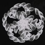 "Assemblage de spirales" di Alexandre Vitkine