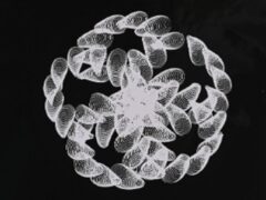"Assemblage de spirales" di Alexandre Vitkine