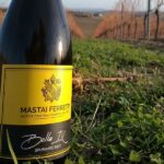 Bolla IX - Spumante Brut Cantina Mastai Ferretti
