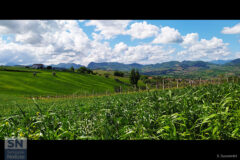 Una primavera invernale - Foto Sara Susannini