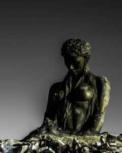 Penelope in bianco e nero... e giallo - Foto Claudio Imparato