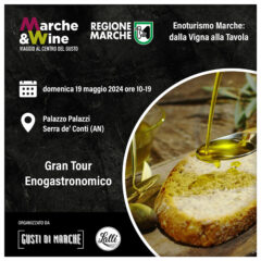 Gran Tour Enogastronomico a Serra de' Conti