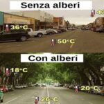 Effetto degli alberi sulla temperatura delle strade