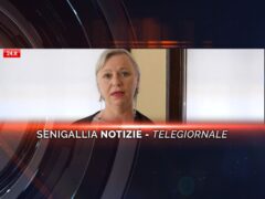 senigallia notizie telegiornale
