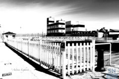 Passerella - Foto Andrea Leghissa