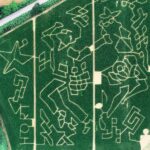 Labirinto di Hort 2024