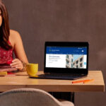 Nuovo sito web Comune Senigallia