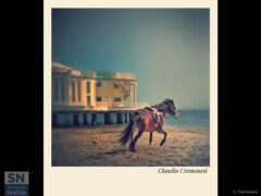 Un attimo di libertà in Polaroid - Foto Claudio Cremonesi