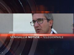 senigallia notizie telegiornale
