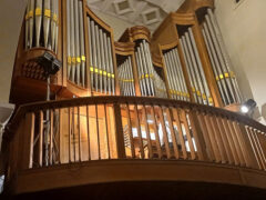 Brett Leighton a Senigallia per il FOI 2024