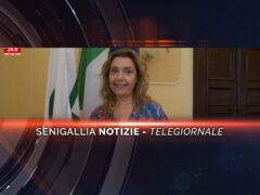 senigallia notizie telegiornale