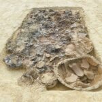 Reperti storici scoperti a Corinaldo