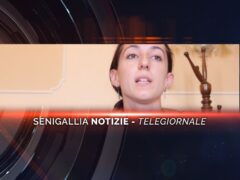 senigallia notizie telegiornale