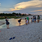 "Sassi e pensieri in bottiglia" alla foce del Cesano