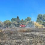 Incendio di sterpaglie a Scapezzano