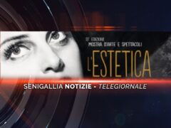 senigallia notizie telegiornale