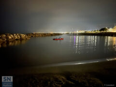 Il moscone! - Foto Paola Canestrari