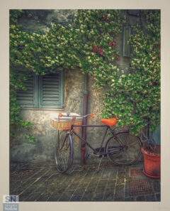 La bicicletta - Foto Claudio Cremonesi