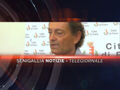 senigallia notizie telegiornale