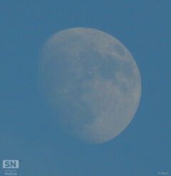 La pallida luna di Giacomo Leopardi - Foto Rossano Morici