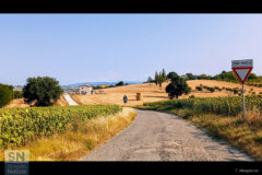 Monte Saltello di Castel Colonna - Foto Tommaso Allegrezza