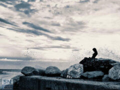 Dolce Penelope - Foto Claudia Terenzi