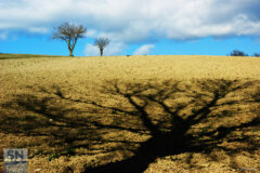 Paesaggi a colori - Foto Loriano Brunetti