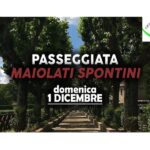 Passeggiata a Maiolati Spontini con GSA