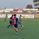 Vigor Senigallia - Castelfidardo