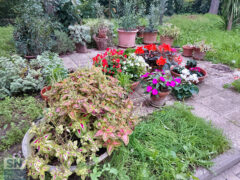 Novembre a colori - Foto Giancarlo Rossi