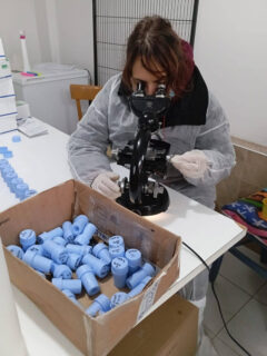 Analisi test Brucellosi canina su cani presso allevamento sequestrato a Trecastelli