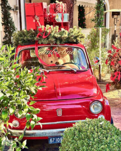 Rosso Natale - Foto Barbara Brusoni