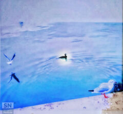 Vento da nord - Foto Daniele De Nigris