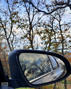 Mi specchio! - Foto Sabina Bittoni