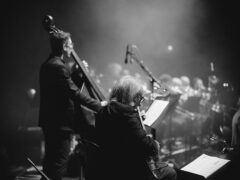 Frank Sinatra Tribute con Anthony Strong e Colours Jazz Orchestra per Senigallia Concerti