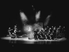 Frank Sinatra Tribute con Anthony Strong e Colours Jazz Orchestra per Senigallia Concerti