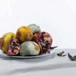 Presentazione del libro "Corpi e anime"