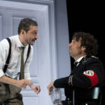 Il medico dei maiali