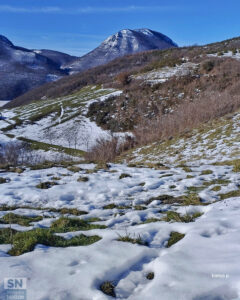Sui prati di Elcito - Foto Enrico Petrini
