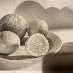 Natura morta di Gemmy Tarini