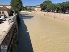 Cielo azzurro e soleggiato, Misa melmoso e amareggiato - Foto Rossano Morici