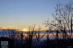 Che te devo di' ... Buongiorno! - Foto Sabina Bittoni