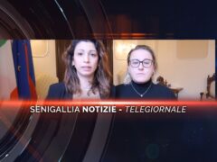 senigallia notizie telegiornale