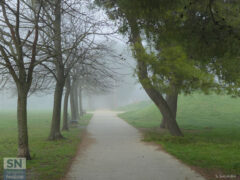 Parco della Pace - Foto Simone Secondini